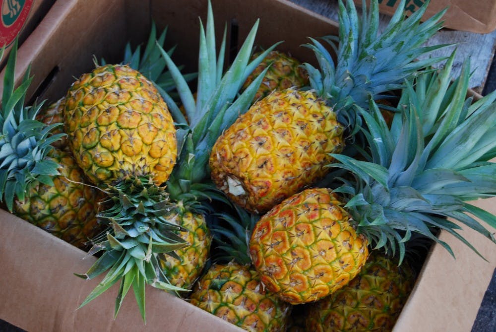 Semen sperm pineapple fruit