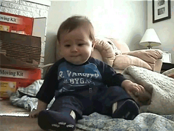 Very funny gif find share on giphy