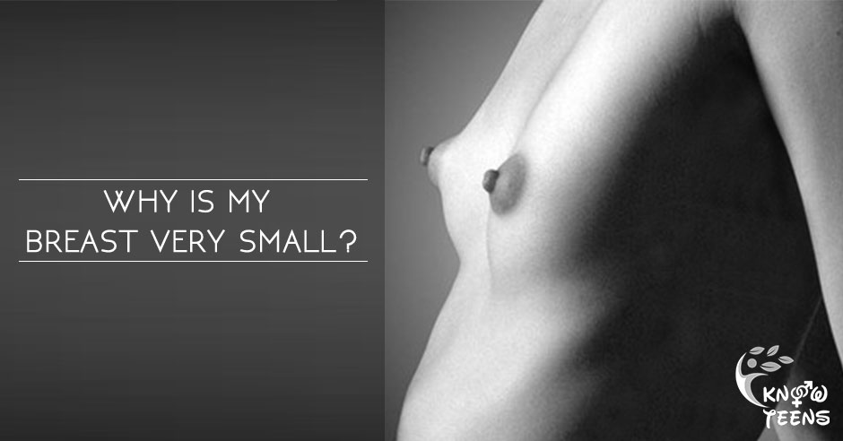Photos of small breasts