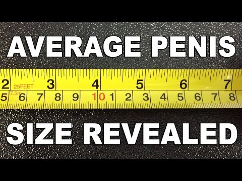 Average size penis pics