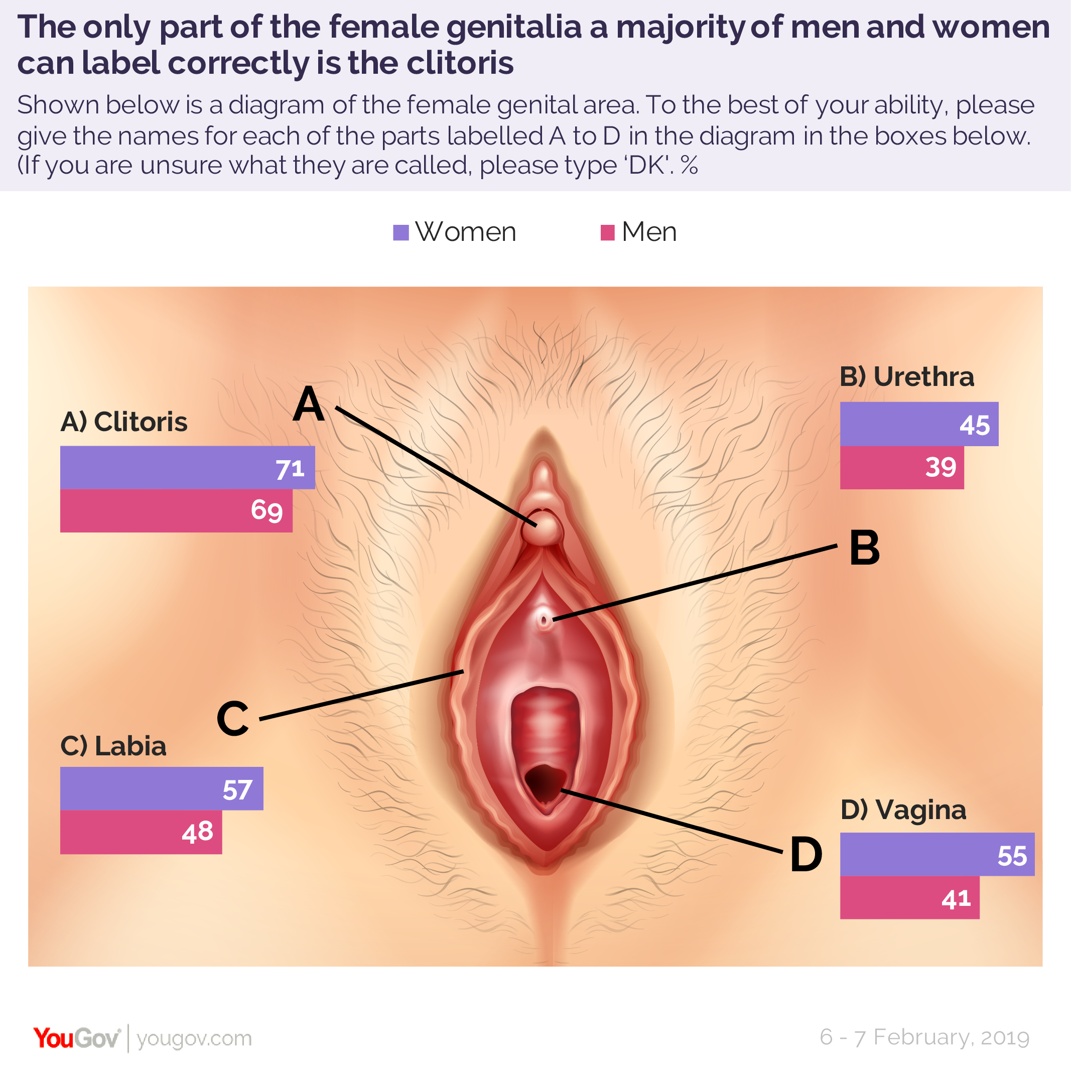 Medical health urethra clitoris