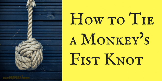 Fist knots monkey